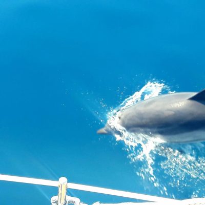 Crociera in barca a vela in Grecia Ferragosto 2026