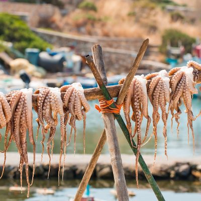 Ristorante Arki: crociera in Grecia